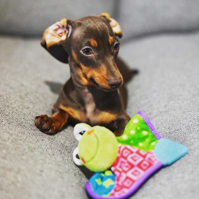 WhatsApp Image 2026-01-24 at 11.33.15 (1)